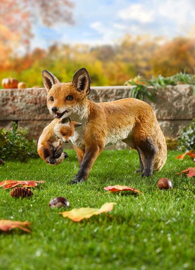 Fuchs mit Jungem 