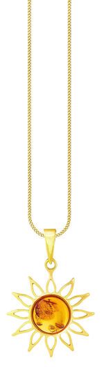 Wunderschöner Anhänger mit echt Bernstein 