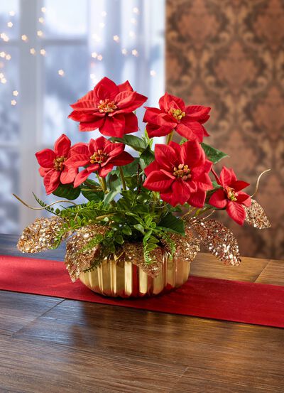 Poinsettia-Gesteck in Schale aus Keramik 