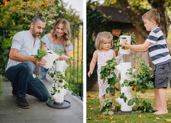 Pflanz-System Sissi Strawberry  