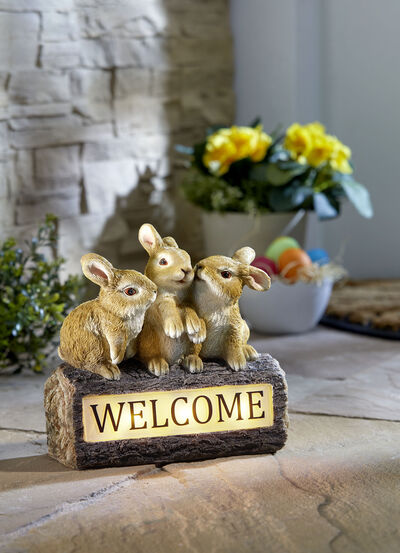 Hasentrio "Welcome", solar 