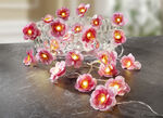 Lichterkette Pfirsichblüten 