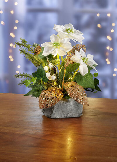 Beleuchtetes Poinsettia-Arrangement 