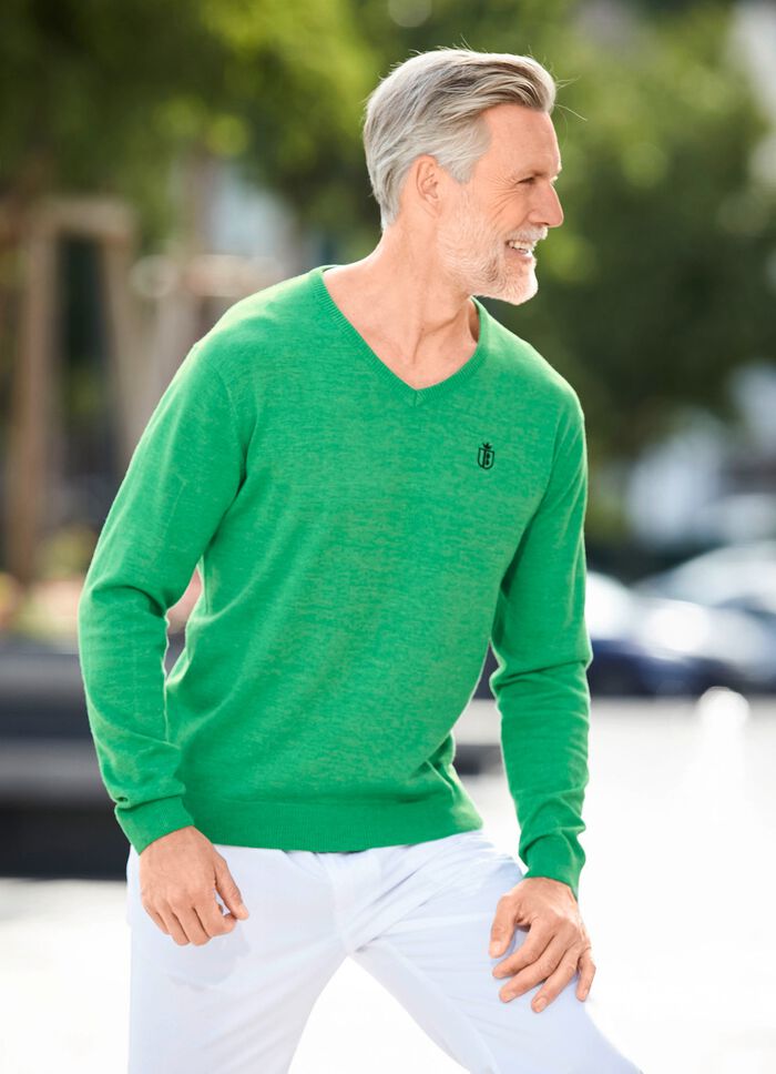 Modischer V-Pullover in 6 Farben 