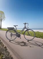 Trekking-E-Bike XT485 von Telefunken ANTHRAZIT