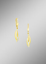 Tolle Ohrringe in Bicolor 