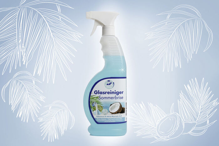 Glasreiniger-Set 